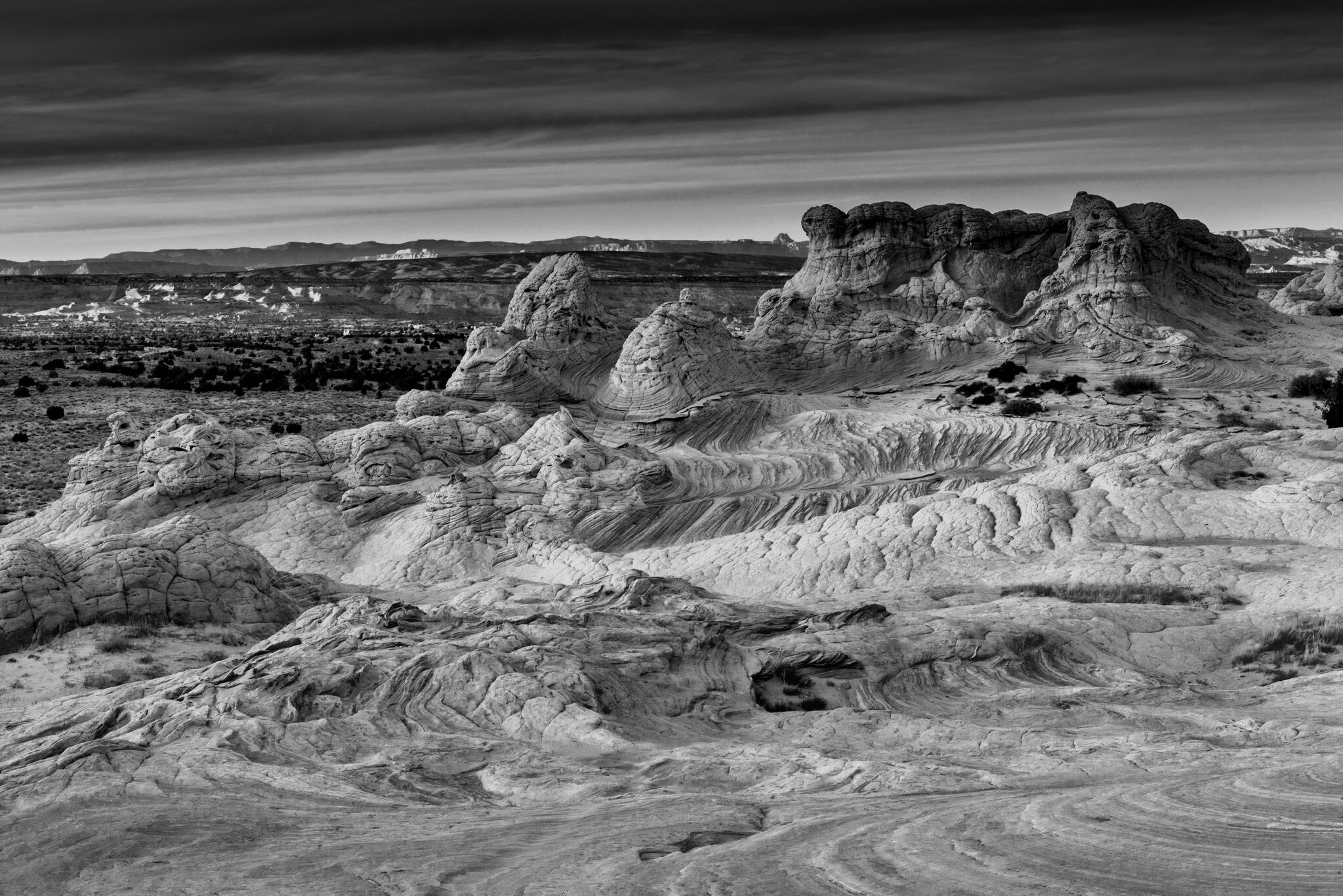 Gainey Gallery of Art Exhibits Events Van Singel Fine Arts Center